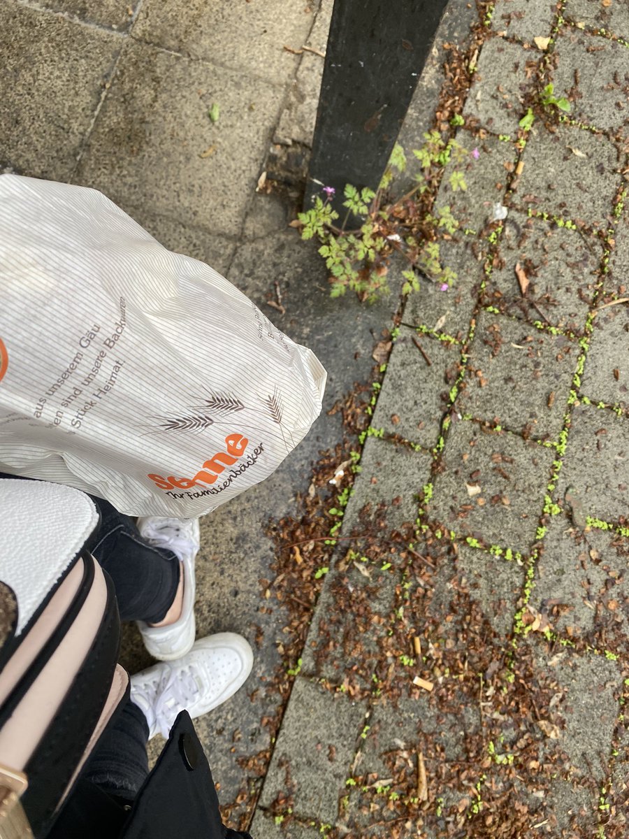 ✨ 𝔾ö𝕥𝕥𝕚𝕟 ℂ𝕙𝕝𝕠𝕖 𝕃𝕚𝕔𝕚𝕠𝕦𝕤 8.9. 🎁 ✨ tweet media