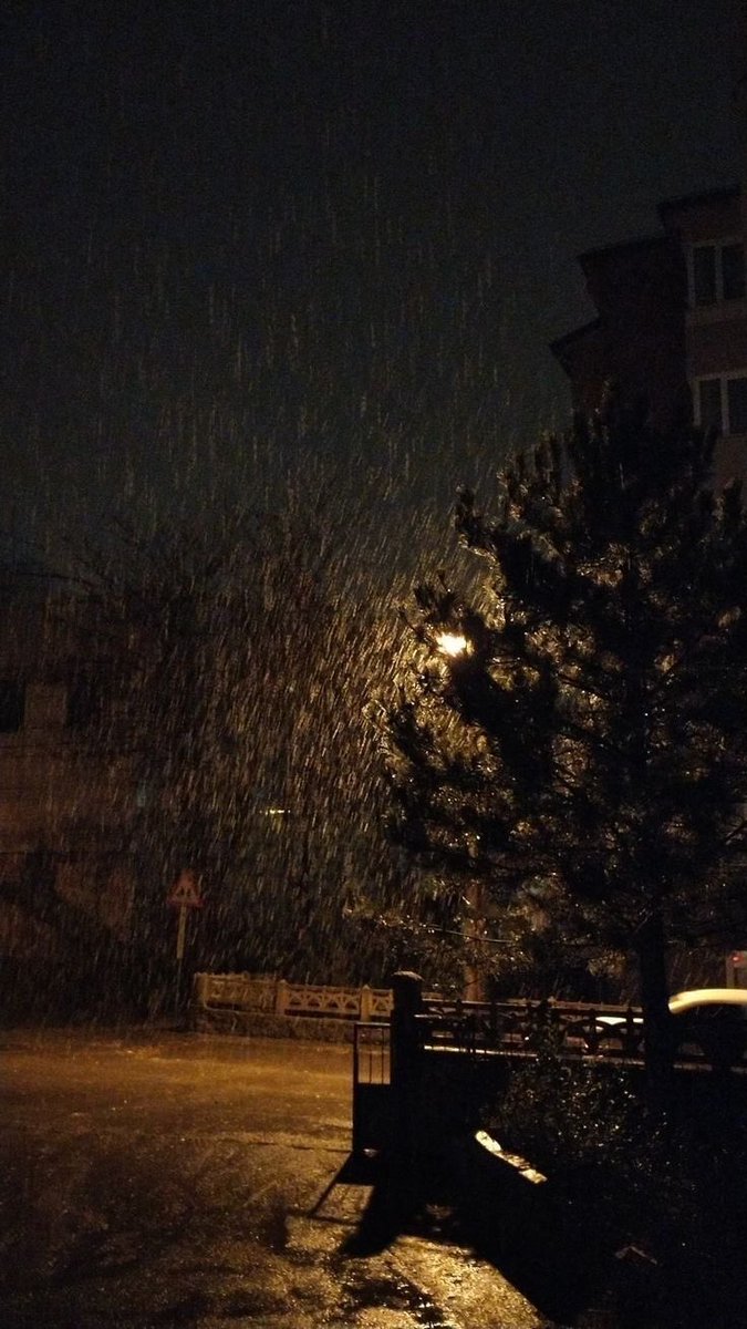 feeling safe and warm seeing this pic.