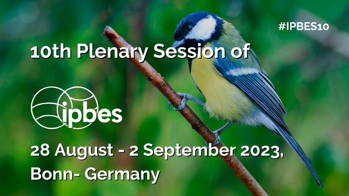 Save the date 📅

10th session of the Plenary of the Intergovernmental Platform on Biodiversity and Ecosystem Services (@IPBES) will take place from 28 August to 2 September 2023 in Bonn 🇩🇪

#IPBES10 will be preceded by regional consultations and a Stakeholder Day on 27 August.