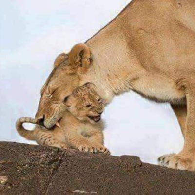 #صورة_جديدة_للملف_الشخصي