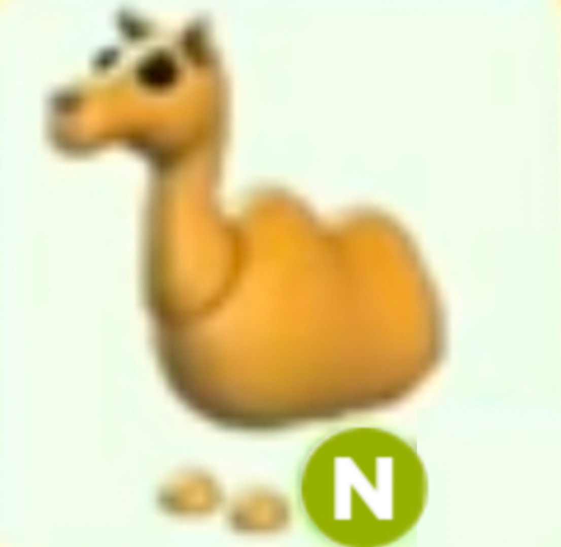 ꪶᠻꪮ᭢ °•` Giveaway Time! ꪶꪮ᭢°•
Prize: Neon Camel ⏳

Rules: ↓°•`

Follow:👤 @ramanjhaaa and °•.
@SneakyCatz

Retweet: ♻️

Like this post: ♥️

Tag your friends: 👥 [1-5]

ꪶᠻ°•`:Extras: [In thread 🧵🪡][HC] °•`