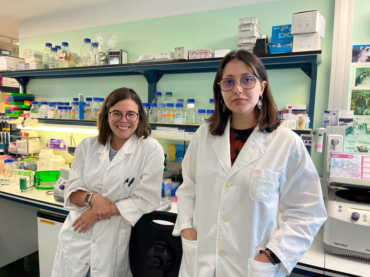 BIOCELLPHE (@biocellphe) on Twitter photo Lara Costas Rios, University of Vigo recently did a short stay at the lab of <a href="/lafdez_synbio/">Luis Ángel Fernández</a> <a href="/CNB_CSIC/">Centro Nacional de Biotecnología (CSIC)</a> and worked on the construction of pilot bacterial strains for <a href="/BIOCELLPHE/">BIOCELLPHE</a> in collaboration with Eva Pico Sánchez, <a href="/CNB_CSIC/">Centro Nacional de Biotecnología (CSIC)</a>. Keep up the good work partners! #work #collaboration Lara Costas Rios, University of Vigo recently did a short stay at the lab of <a href="/lafdez_synbio/">Luis Ángel Fernández</a> <a href="/CNB_CSIC/">Centro Nacional de Biotecnología (CSIC)</a> and worked on the construction of pilot bacterial strains for <a href="/BIOCELLPHE/">BIOCELLPHE</a> in collaboration with Eva Pico Sánchez, <a href="/CNB_CSIC/">Centro Nacional de Biotecnología (CSIC)</a>. Keep up the good work partners! #work #collaboration