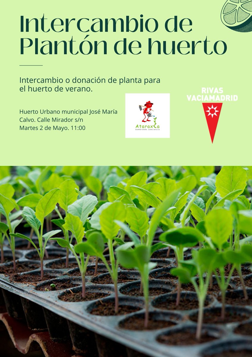 AtaraxiaRivas's tweet photo. 🌱🌻¡Atención amantes del huerto!🌿🍅 Ataraxia os invita al intercambio de plantón 🌾 en el huerto urbano municipal José María Calvo #RivasVaciamadrid, el 2 de Mayo a las 11:00🕚. ¡Trae tus plantones y disfruta de una mañana primaveral🌞! 🌳🌷 #HuertosUrbanos https://t.co/Pe8c17VIQO