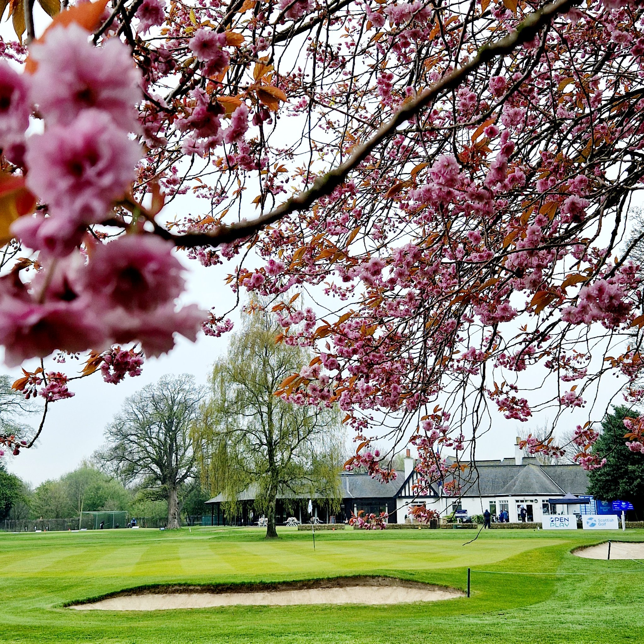 Scottish Golf on Twitter "We're at the 1st Medal Finals event of the