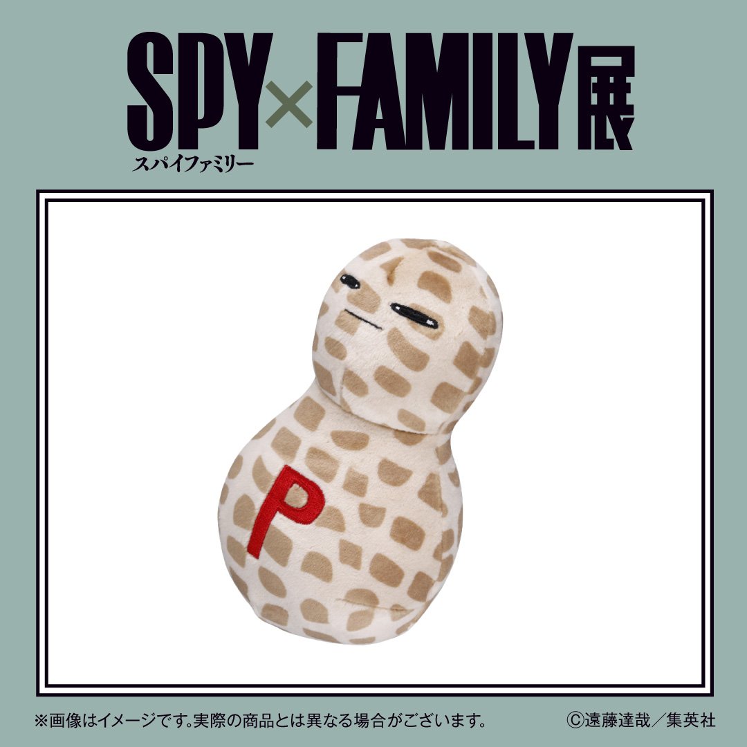 SPY×FAMILY展【公式】 on X: