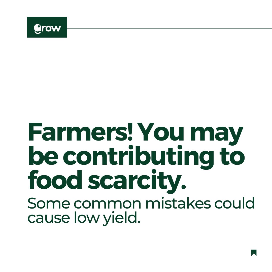 There are 3 mistakes every farmer must avoid to maximize food production.

#farmers #agriculture #farmbusiness #crops #farmtips