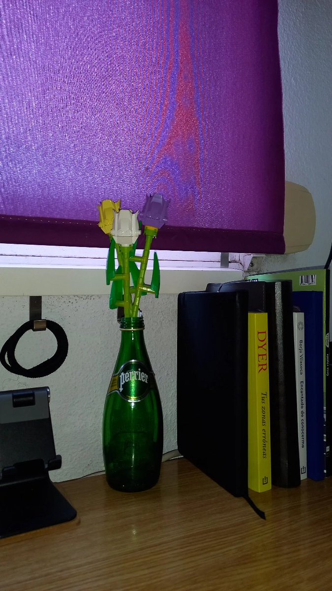 burbujamorfa's tweet photo. Vengo a presumir los tulipanes de lego que me ha regalado mi señora 💜 https://t.co/38751DoQdC