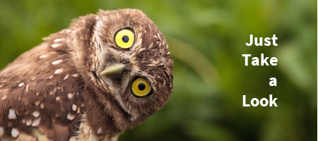 #1 NetworkMarketing OnlineBusiness 

Ready for a side gig or a full time business? 
Just take a look. 
bit.ly/2EQmpxT