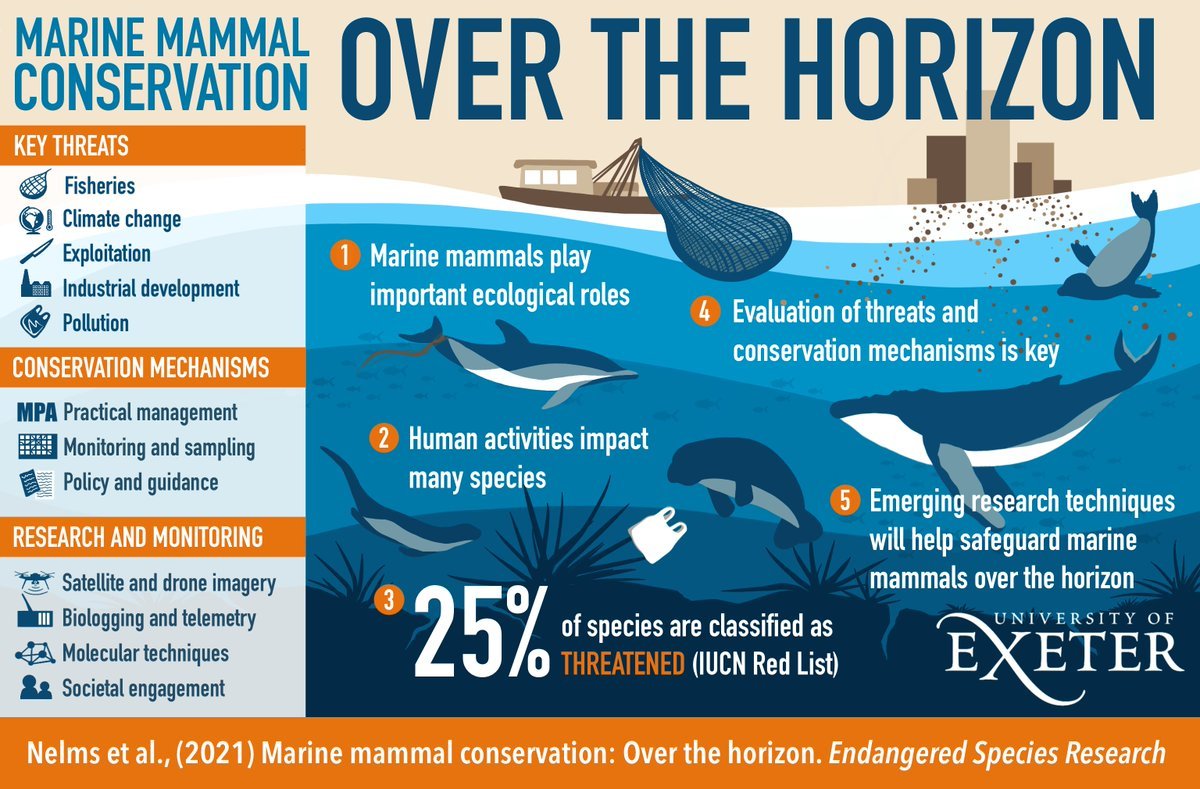 Marine mammals can play important ecological roles in aquatic ecosystems, and their presence can be key to community structure and function.

What are the key threats to their conservation? And what are some of the conservation mechanisms?

Learn more from @uniofexeter 👇🐳
