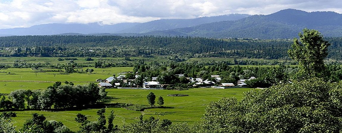 DabhadePrit2's tweet photo. Experience nature's beauty in Kupwara
#KupwaraAdventures
#ExploreKupwara
#KupwaraEscapades
#DiscoverKupwara
#KupwaraParadise https://t.co/q8mdpDfnhy