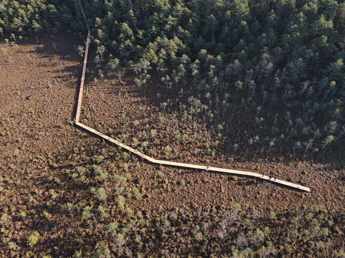 @terhorab @PeatlandECR Here is my contribution to the #PeatCalendar for #PeatNeeds. The photo was taken at Kusowo bog Poland 🇵🇱 . This year's theme for #PeatCalendar is 'Boardwalks'.
@PeatlandECR 

#PeatTwitter
#PeatECR