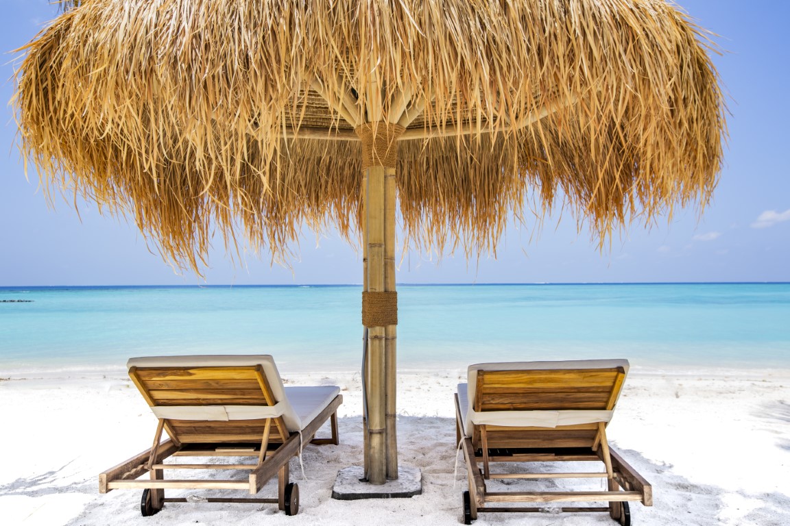 Angelfish Travel tweet media