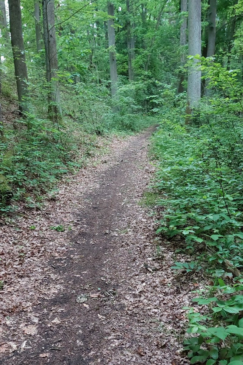 AxlNueAI's tweet photo. 🏃‍♀️🏃Getting ready for the B2Run! As we are super close to amazing wood trails, it's pure fun to practice 6km running from the office. Our group runs once a week Thursday 11am, feel free to join in if you don't mind walking around in jogging pants in the office 😜 #b2run #running https://t.co/NhNIOttCDj