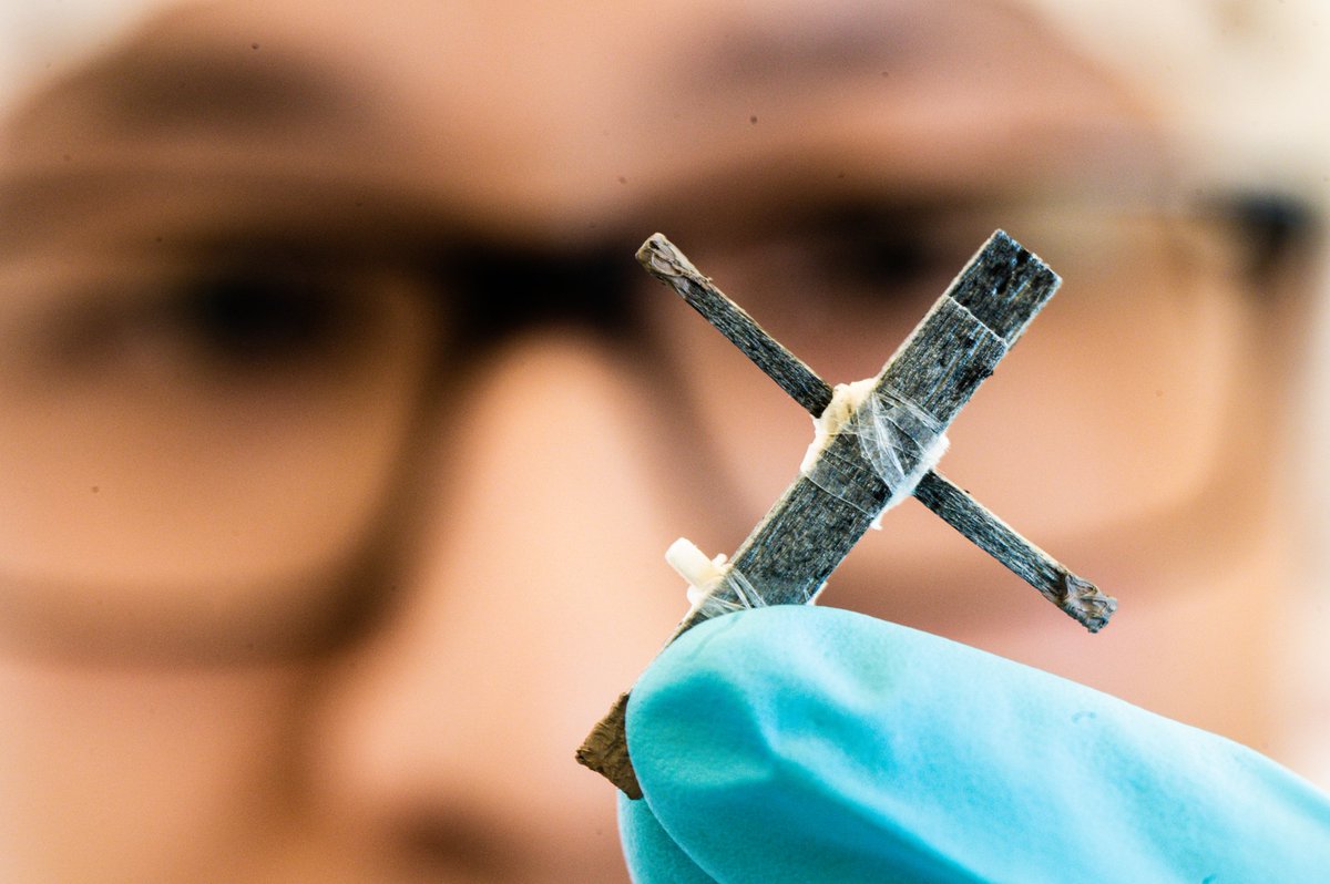 liu_universitet's tweet photo. Världens första transistor gjord av trä är utvecklad av forskare vid LiU och KTH. Studien är publicerad i tidskriften PNAS och banar väg för vidare utveckling av träbaserad elektronik och styrning av elektroniska växter. #forskning #material https://t.co/BXc435kBsl