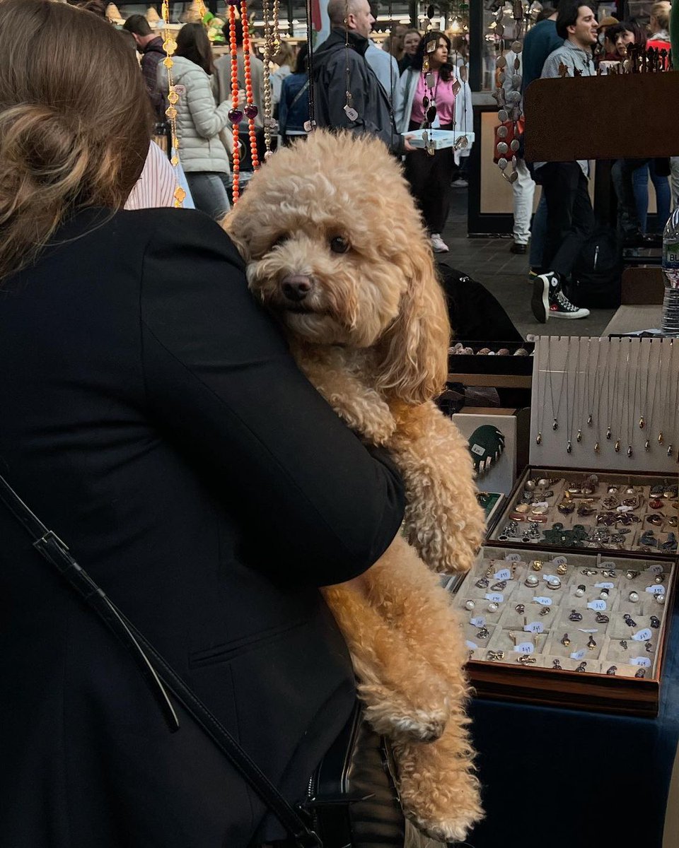 "Love Spitalfields Market. Dog friendly and a very nice time to spend on a Sunday"

Did you visit us recently? We would love if you could leave a Facebook review - bonus point for photos! 🌟 🤗  bit.ly/3KYmjV3