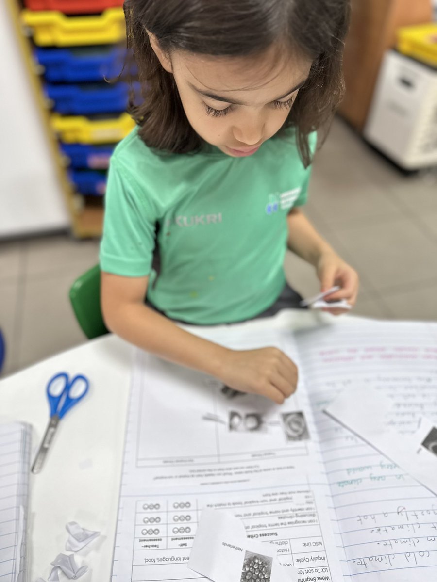 abypower's tweet image. The children were learning about climates and zones and the foods that were “tropical” or not. They used their prior learning to help them find out 🕵🏻‍♀️ #inquirybasedlearning #BeHappyBeGIS