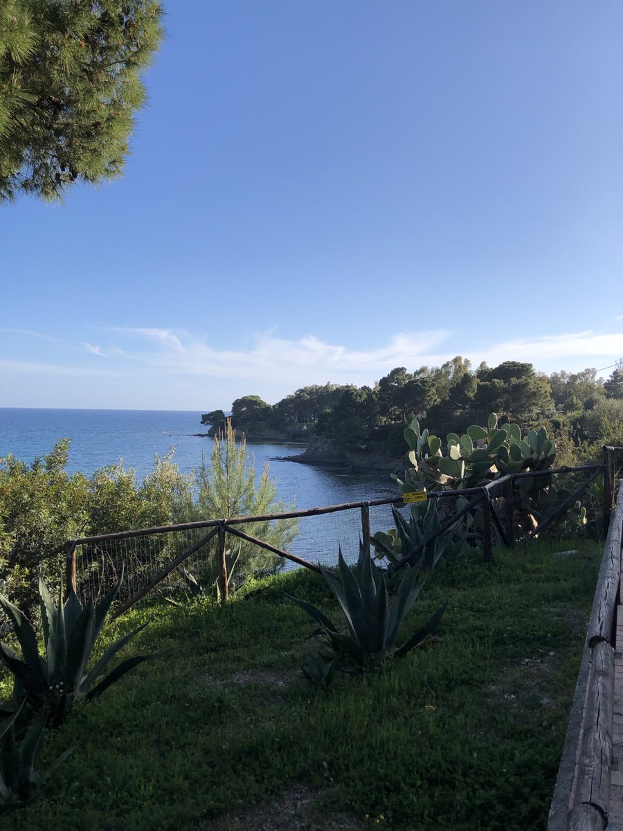 Riconoscenza,gratitudine:
Silenzio tutt’intorno e la bellezza
penetra nella verde terra ,nel mare profondo,nel cielo luminoso.
Due passi sotto casa.