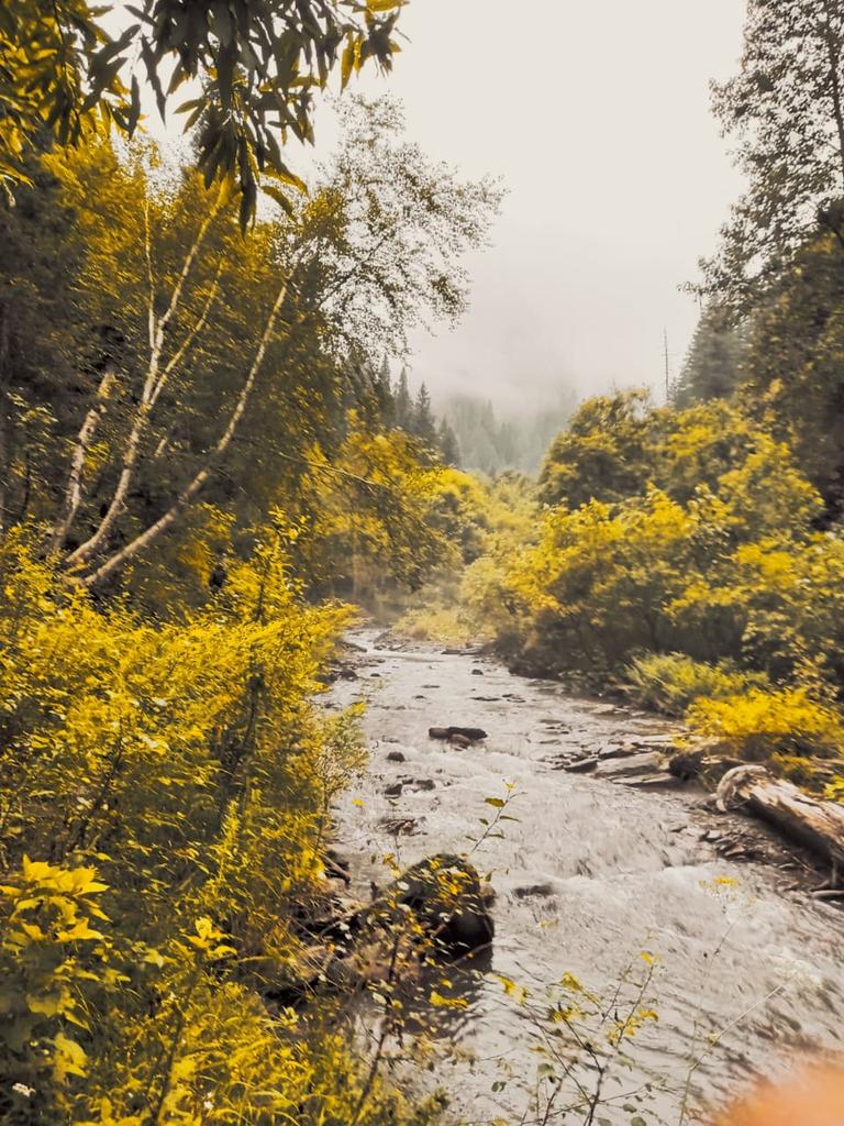 BashirLoneKhan's tweet photo. #KupwaraAdventures
#ExploreKupwara
#KupwaraEscapades
#DiscoverKupwara
#KupwaraParadise https://t.co/FflrR6LRJw