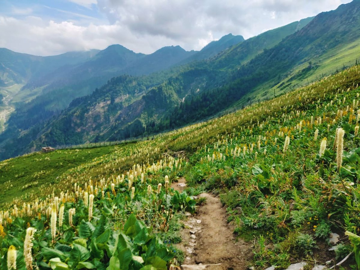 BashirLoneKhan's tweet photo. #KupwaraAdventures
#ExploreKupwara
#KupwaraEscapades
#DiscoverKupwara
#KupwaraParadise https://t.co/FflrR6LRJw