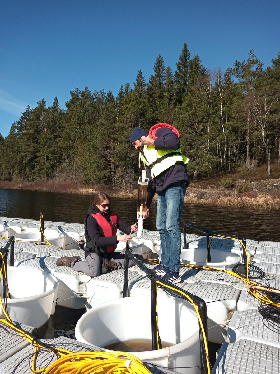 SITES AquaNet tweet media