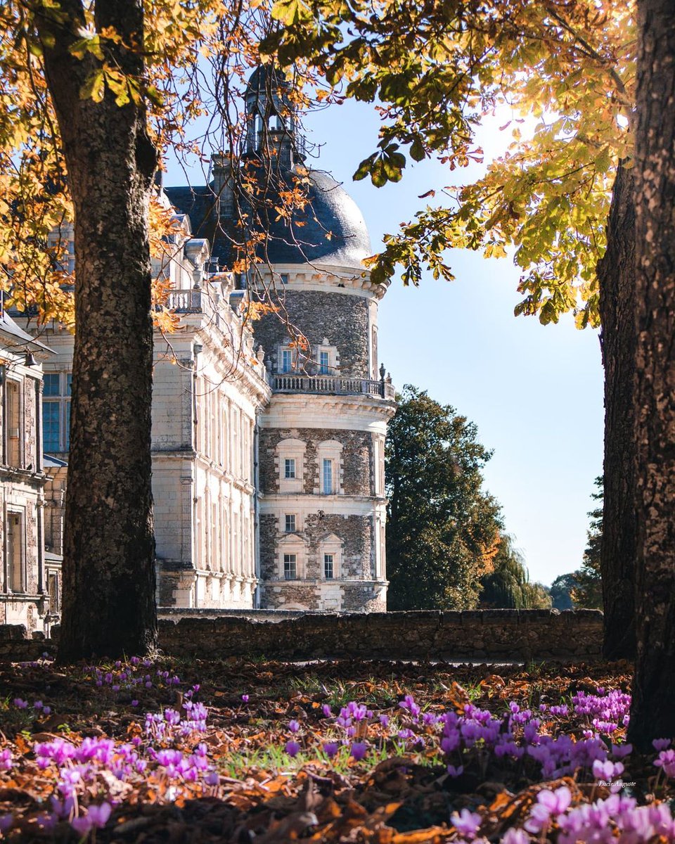 MyLoireValley's tweet photo. Le #château de #Serrant, en Maine-et-Loire est le dernier des grands châteaux de la #Loire en descendant le fleuve royal.
📸 lucie.auguste https://t.co/6gcRFu0DEM
