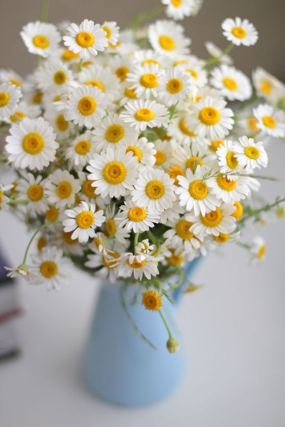 loveethinking tweet picture