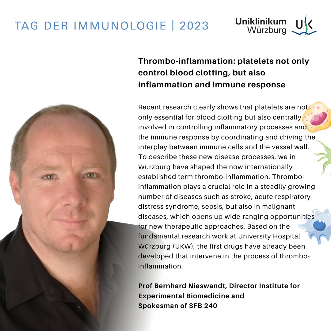 #dayofimmunology 📢 3 #postdoc positions and 3 #PhDposition in #immunology and #platelet #research (#thrombo #inflammation) are offered by @NieswandtLab ⬇️Deadline 30.04.23 ➡ uni-wuerzburg.de/en/rvz/jobs-an… ... @plateletsociety @sfb1525 @plateletcarsten @isabellecarlota @AngeliFriedmann