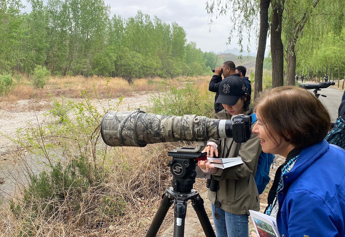 As part of the #AmbassadorsforNature initiative, Ambassador Derwin was delighted to host important discussions today on how to ensure all of our Embassy premises in #Beijing support wildlife & biodiversity–with thanks to @terrytownshend for a fascinating guided birdwatching tour!