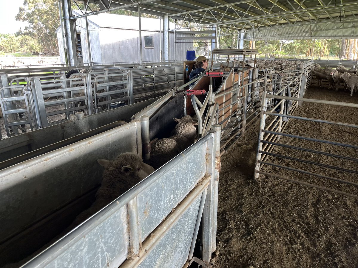 Pete Fraser tweet media