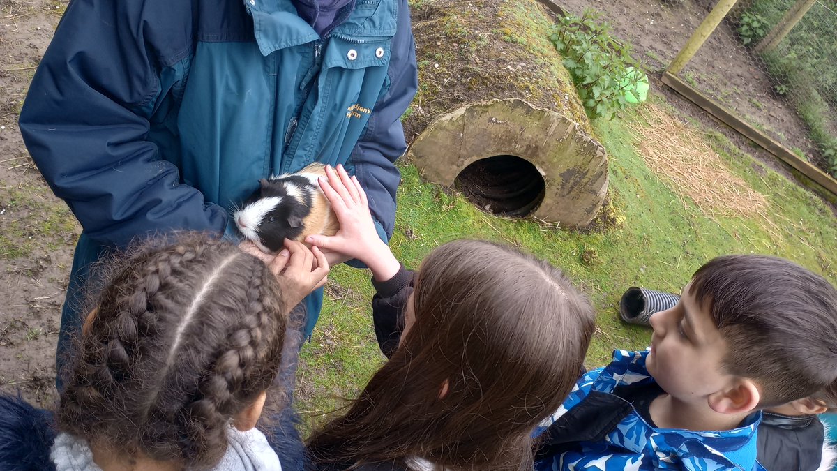 Fordbridge Primary tweet media