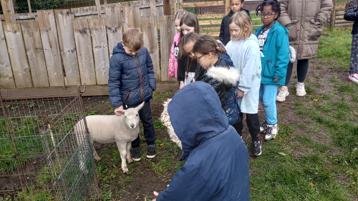 Fordbridge Primary tweet media