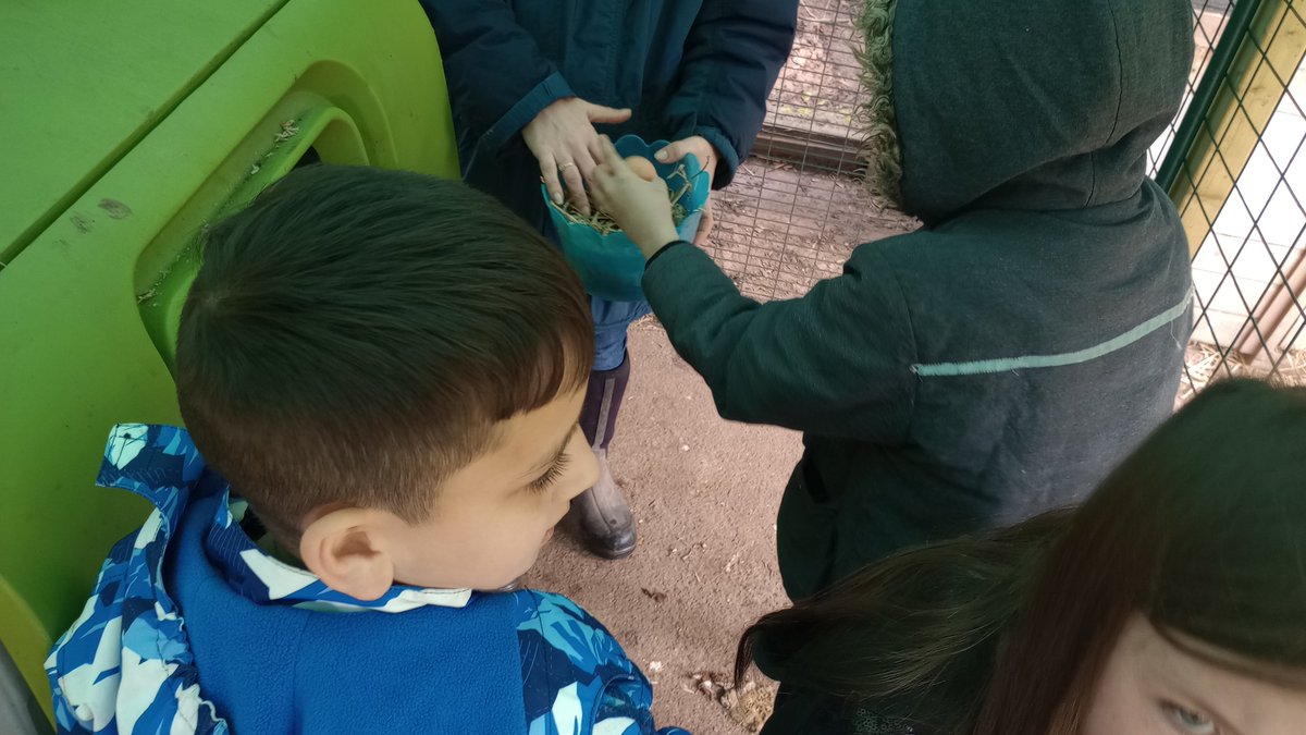 Fordbridge Primary tweet media