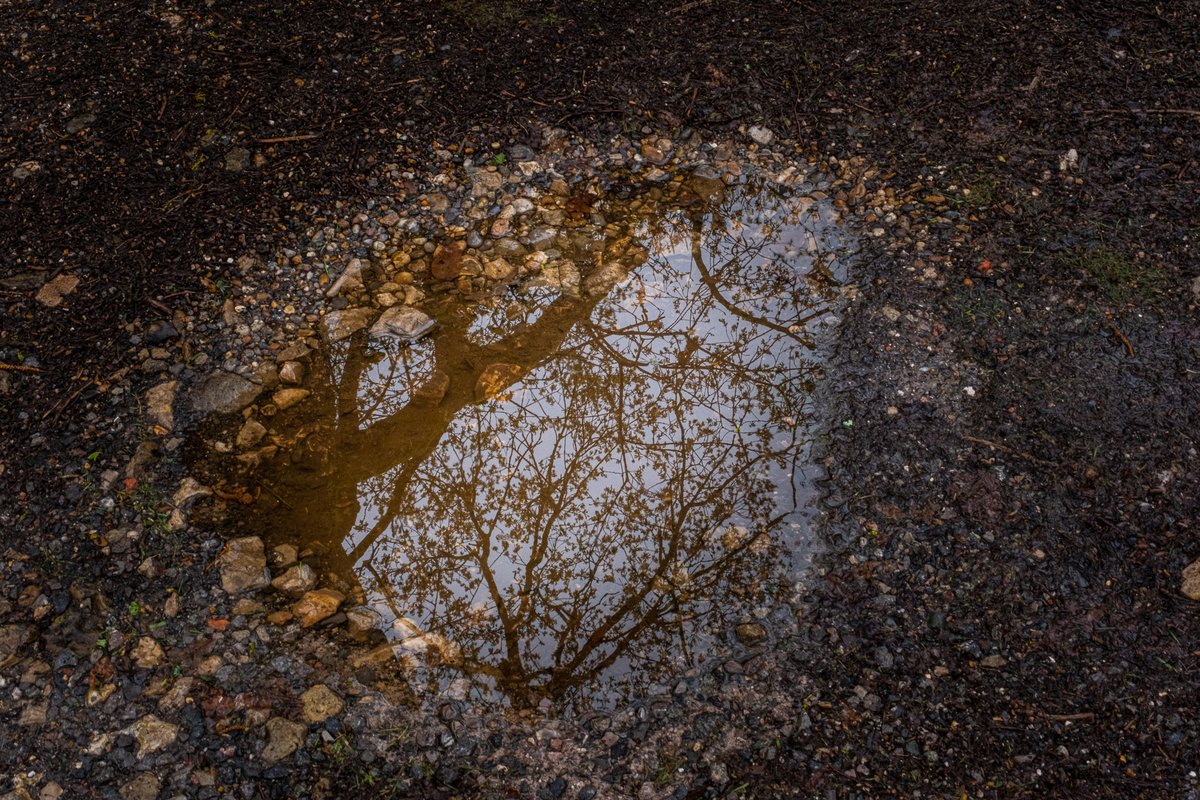 PDBPhotos's tweet image. Drizmal morning brightened by interesting puddle reflections