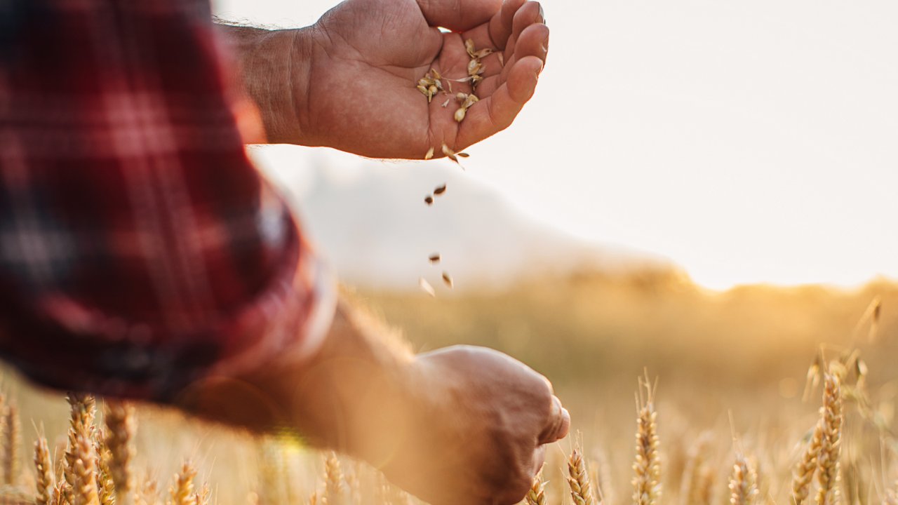 Bayer Crop Science España on Twitter: 
