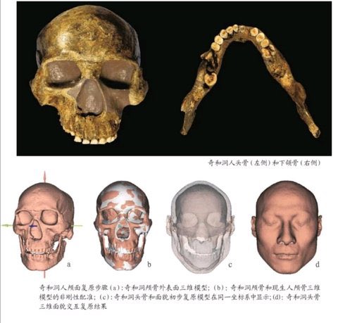 blackym25's tweet photo. a restoration of the Qihedong people in Fujian ten thousand years ago
#china #ancienthuman https://t.co/v4c8eG1gJJ