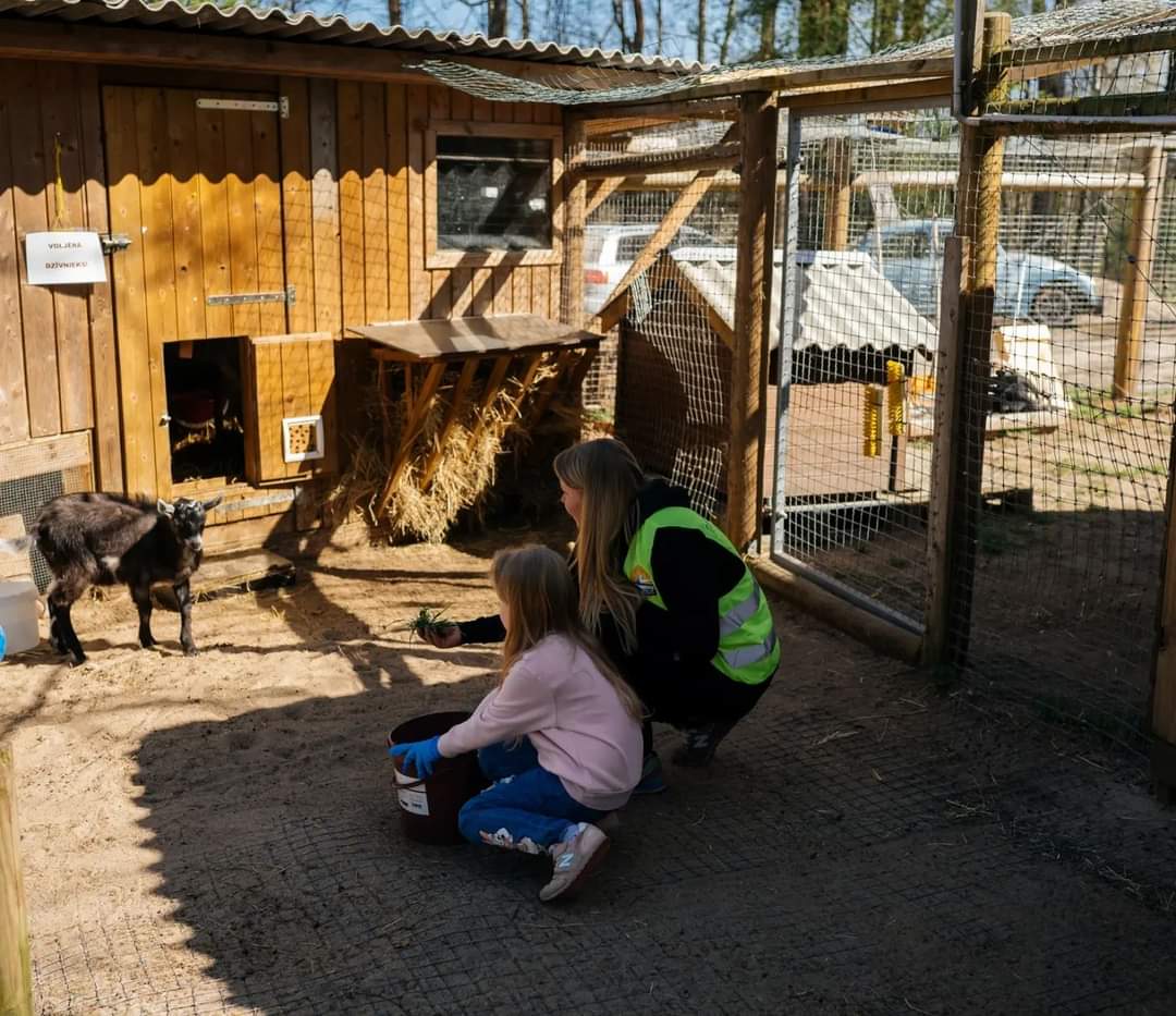 Ulubele's tweet photo. Vēl arvien sildāmies saulainajās Lielās Talkas 2023 jaudas un prieka emocijās. Paldies jums mīļie! Īpašs paldies Labdarības fondam "Sofi" par nenogurstošu atbalstu ❤️ #paldies #Ulubeleskomūna #palīdzi #nokillshelter #sofifonds https://t.co/ZvOf6UqVQI