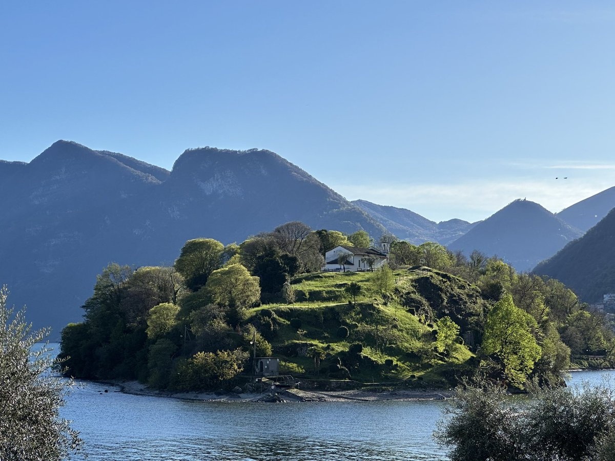 Donatus Wolf tweet media