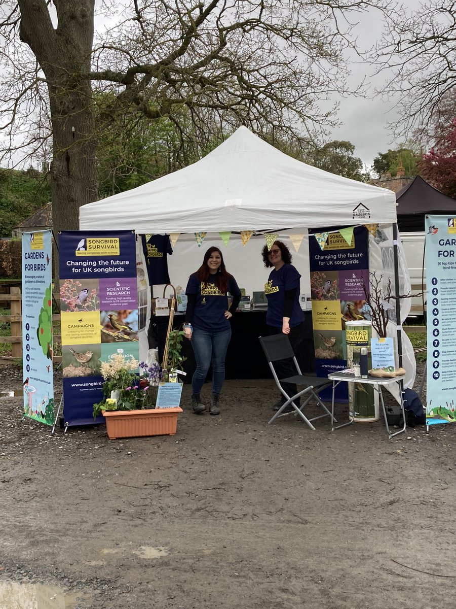 SongBirdSBS's tweet photo. All set and ready for 2 days at @tobygardenfest talking about #gardensforbirds #thinkbirds https://t.co/t3ArXDT6Oy