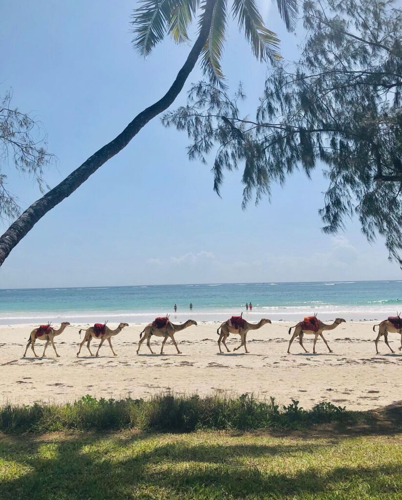 Take a break from the hustle and bustle of everyday life and indulge in the breathtaking scenery of Diani beach. With camels strolling by, it's the perfect view to kick off your weekend.😎🐪⛱

📸 monicarolsen via IG

#sandsatnomad #dianibeach #seaview #beachlover #captures …