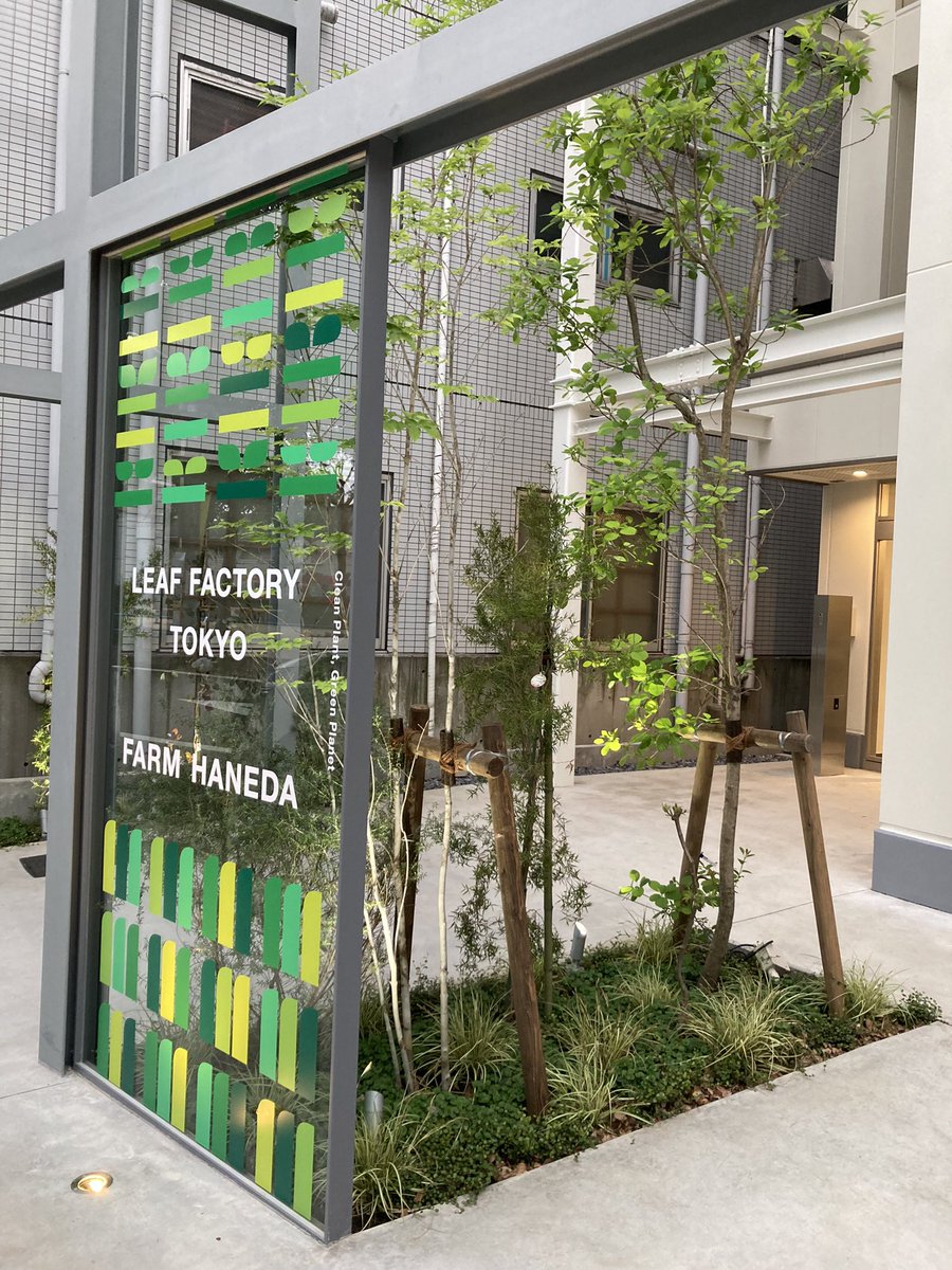 LFT_official's tweet photo. ついに・・・！私たちのシンボルとなる植物工場【FARM HANEDA】の完成が近づいてまいりました🎊とってもオシャレで洗練されたデザインで、社員一同感動しております😭

皆さんが思わず入りたくなるようなショップ＆植物工場を作りますので、楽しみにしていてください〜♪
#植物工場
#ショップ
#東京都 https://t.co/lVRkEHnc6e