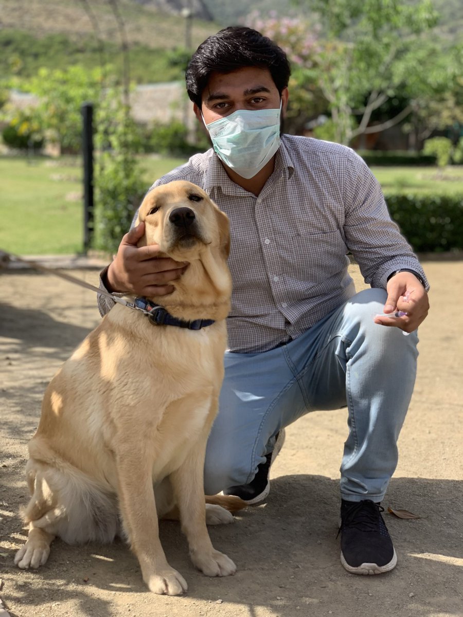 maazveterinary's tweet image. 