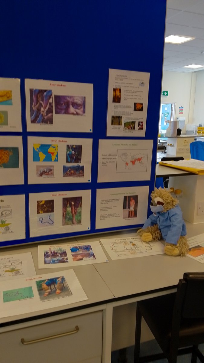 henry_science's tweet photo. Sid &amp; I enjoyed being back at parasitology primary school labs this week! We've had fun meeting lots of enthusiastic future scientists with @hanniepower @jane_munday @Hammarton_lab @lvcarruthers @claireldonald @NicolaVeitchUoG @ModrzynskaLab @GraceGilI &amp; all the other volunteers! https://t.co/xP17Ew5V4b