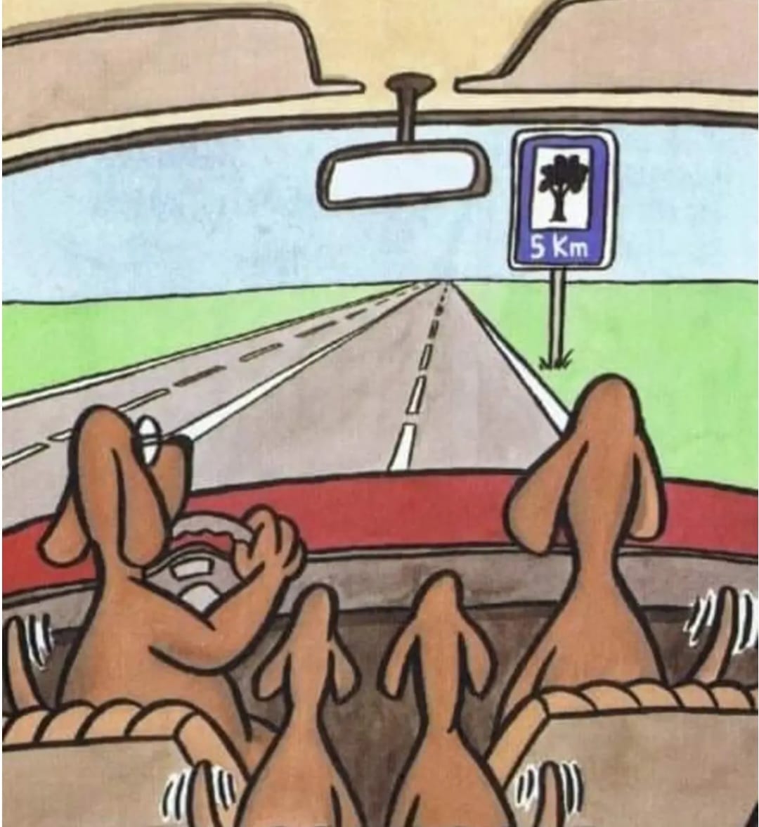 SayItOnAshell's tweet image. 