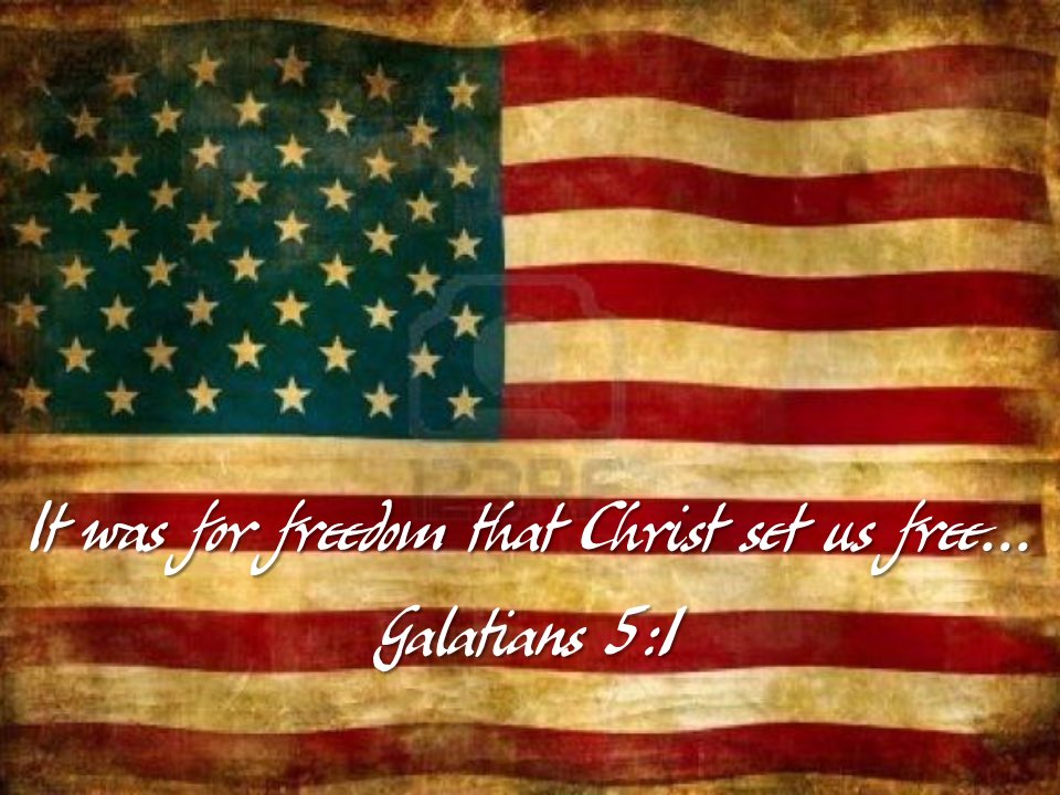 The Grey Beard tweet media