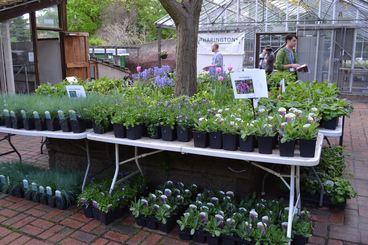 Haringtonscheme's tweet image. Some highlights from our Spring Sale 2022. We hope you can join us again this year!
Saturday 6th &amp;amp; Sunday 7th May 2023, 10am-1pm. Plants, crafts, home-baked goodies, refreshments &amp;amp; live music from @londonbrassband
#Highgate