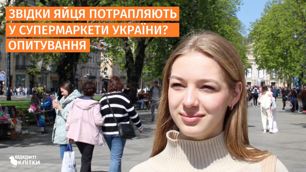opencages_ua's tweet photo. Ми запитали у людей на вулицях Львова чи 
знають вони звідки яйця потрапляють у супермаркети України?

https://t.co/Qq1fRXZkrc

Кліткове фермерство є найбільш поширеним способом утримання курей-несучок на виробництві. В Україні 99,5% курей-несучок утримуються саме в таких умовах. https://t.co/y0MuCm0y1e