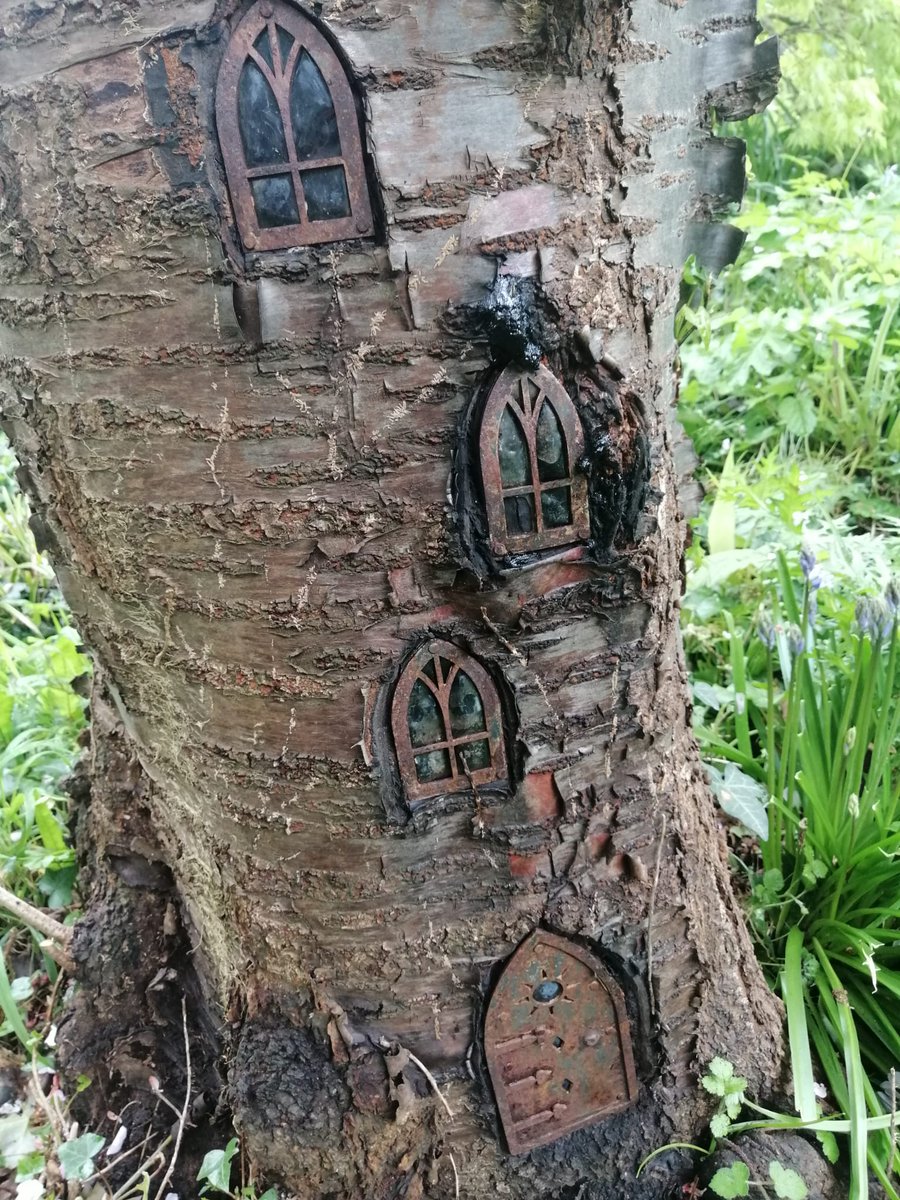 My brother stripped the ivy from an old cherry tree this morning. Found this.