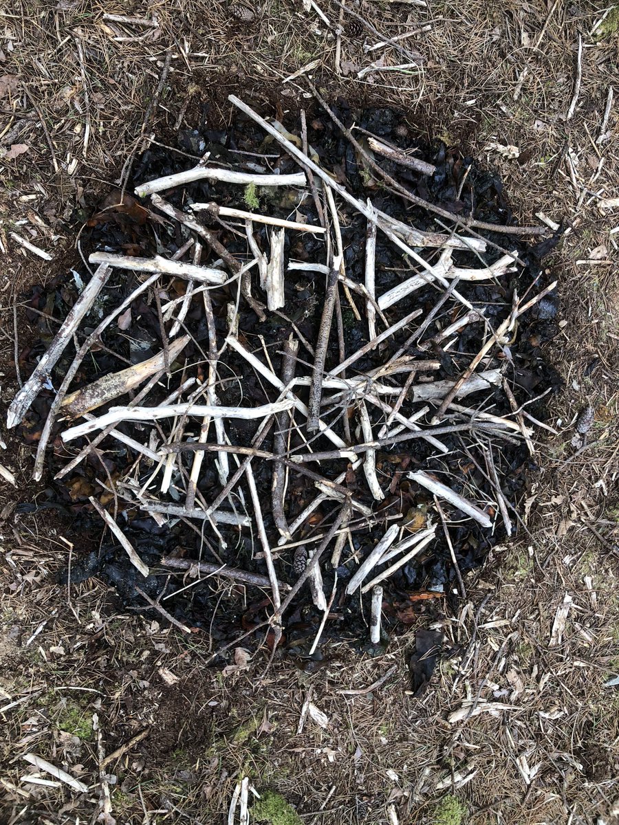 christine mackey tweet media