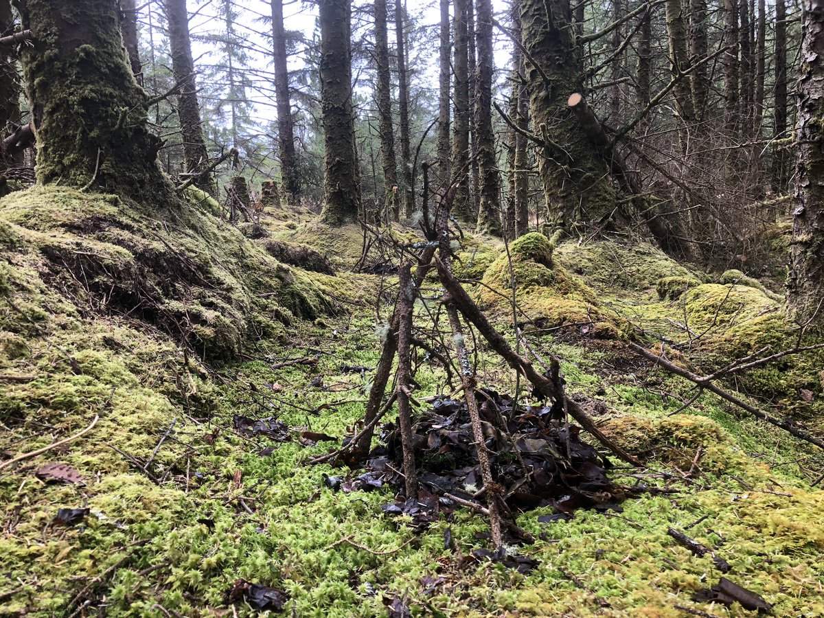 christine mackey tweet media