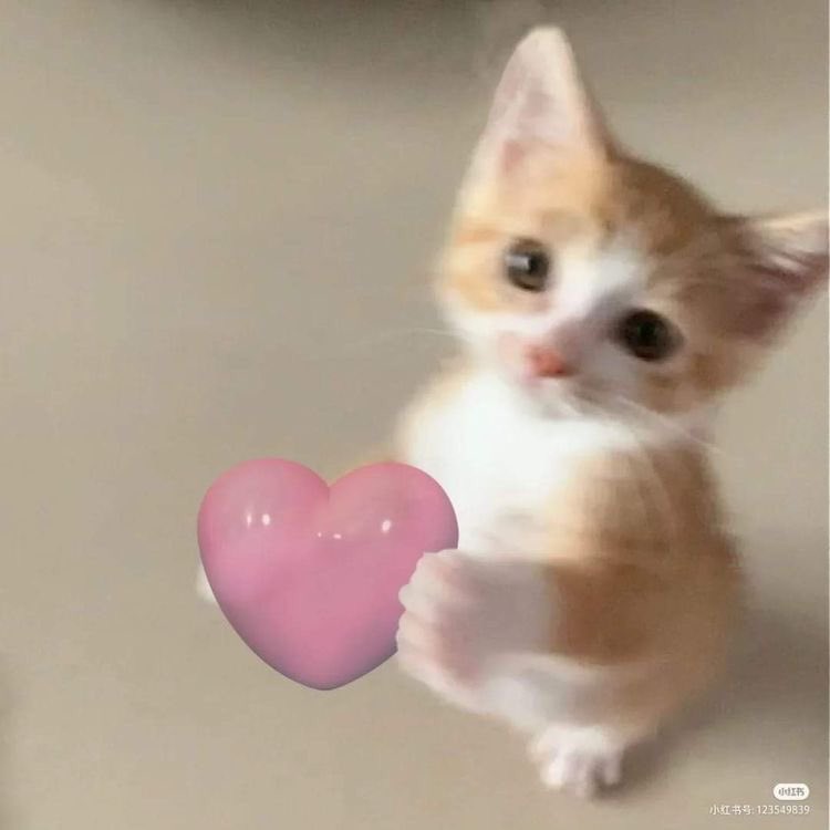 envchae's tweet photo. @meattchew aku gaada snack, kalau aku kasih cinta kmu mauk ga? https://t.co/AeTg3h69Z5